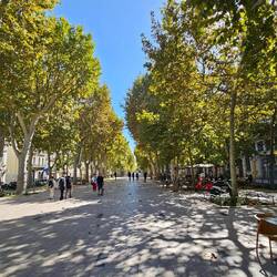 Schöne grüne Allee mitten in der Stadt