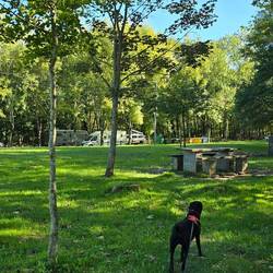 Niska enjoyed checking bbq points for any treats