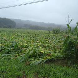 Evidence of the storm.