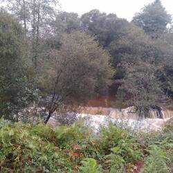 This river was swollen and rushing.