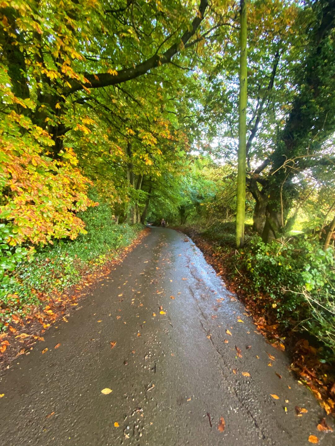 Start of our walk today was very pretty