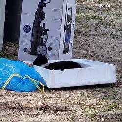 Auch Müll kann gemütlich sein.