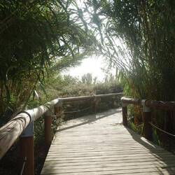 Ein kleines Stück geht es durch grünes Marschland