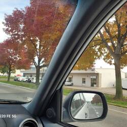 The trees at home are as beautiful as Germany