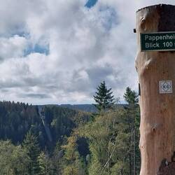 Ab hier war der Wanderweg wegen Forstarbeiten gesperrt, was uns zum Umweg über den Höhenweg mit Auss