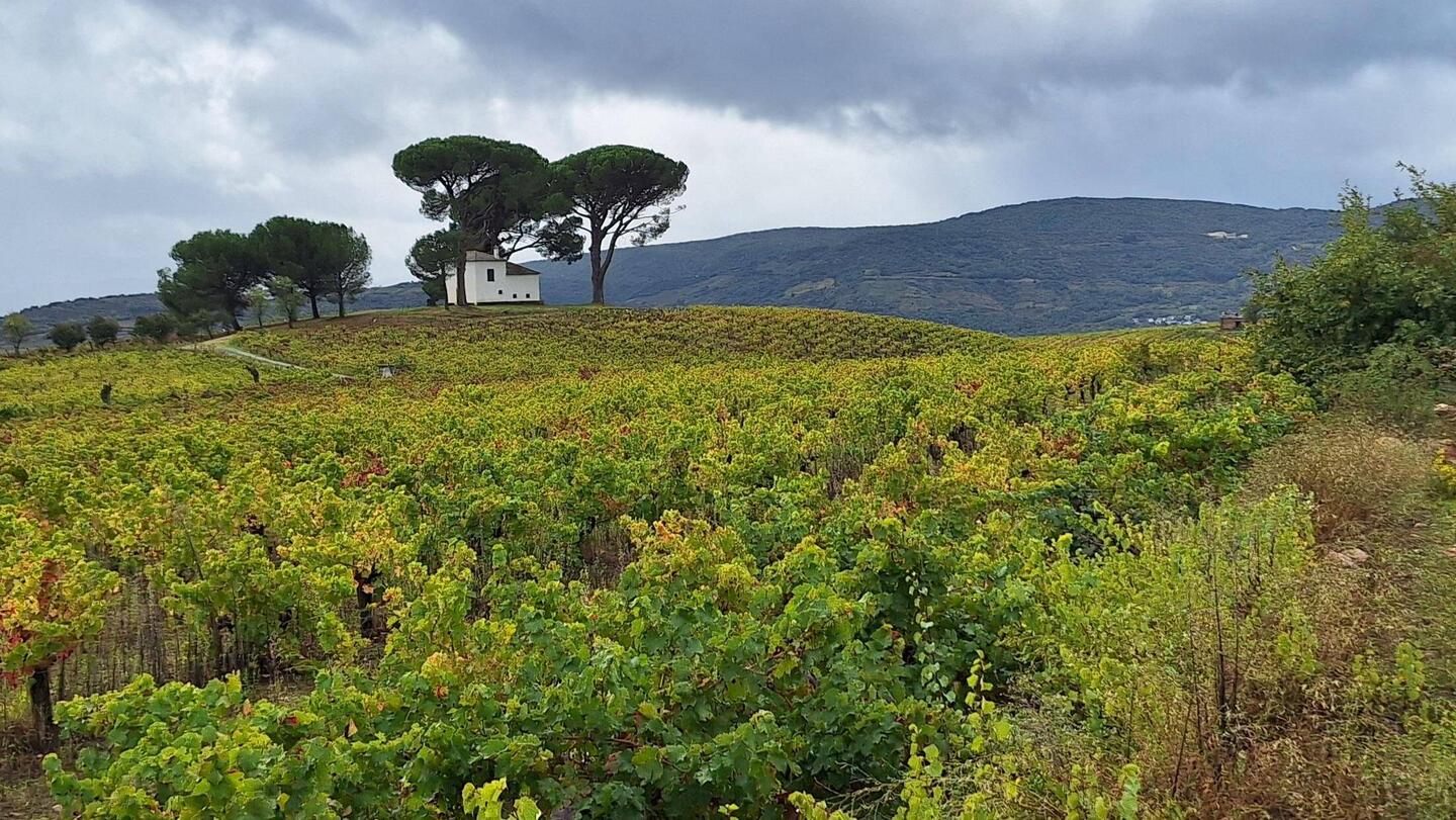 What a spot for a house, amongst vineyards and with the mountains as a backdrop.