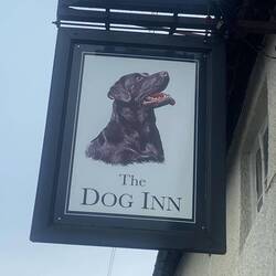The Dog Inn