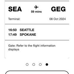 The first flight we missed after checking luggage again