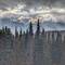 Another view of the Olympic mountains