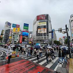 Shibuya Crossing - bei Regen ...
