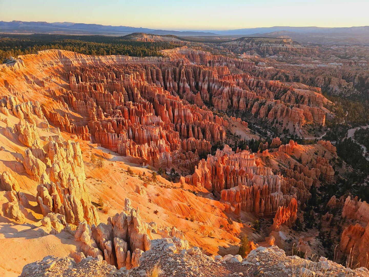 Le cirque des Hoodoos éclairé par les premières lumières du jour