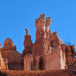 Saurez vous reconnaître ce personnage historique ?