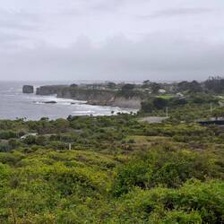 Küstenstrasse zwischen Westport und Greymouth