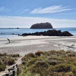 Abschied vom Coromandel
