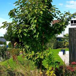 We have to leave some beautiful things behind...