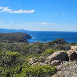 View from the lighthouse