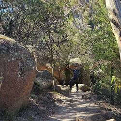 We're almost back to the top!