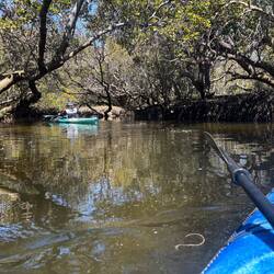 Adelaide Dolphin Sanctuary