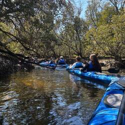 Adelaide Dolphin Sanctuary