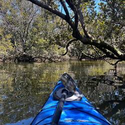 Adelaide Dolphin Sanctuary