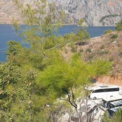 Hilfeeeeeee nix wie weg hier