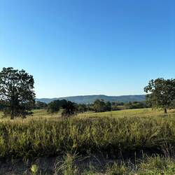 Ozark foothills