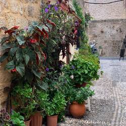 Jedes Haus hat Zierpflanzen vor der Eingangstür