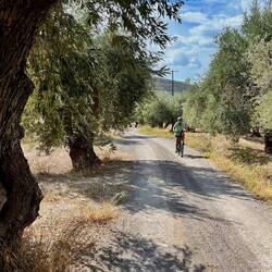 So gedopt, geht es wieder zurück