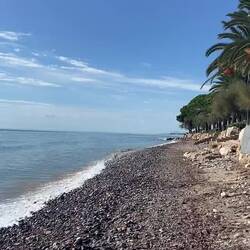 Sehr interessante Geräusche erzeugen die runden Steine