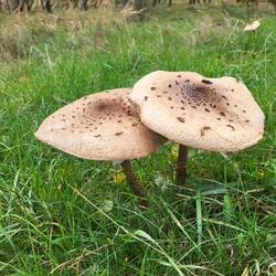 Auf Parasol hatten wir heute keinen Appetit.