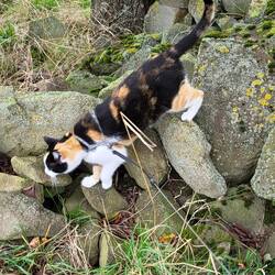 Am liebsten würde sie in jedes Loch krabbeln.