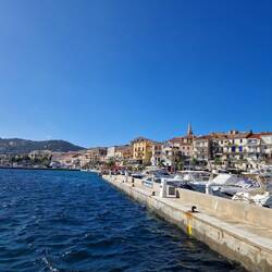 Calvi