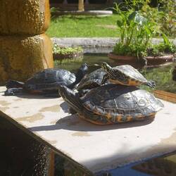 Und die Bewohner des Klosters bei der Meditation