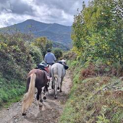 Suppose there are worse jobs on a sunny day.