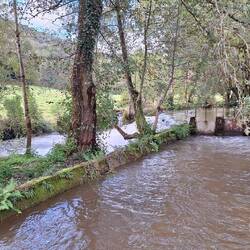 The river did look swollen after yesterday's rain, this was an overflow area.