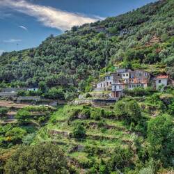 Farmhouses on our walk to Vernazza