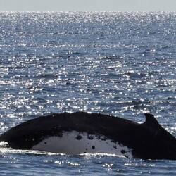 how cool is this!!!!