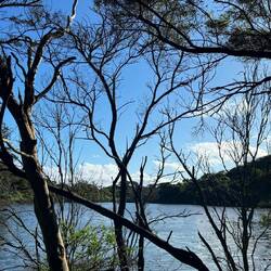 Tower Hill Wildlife Reserve