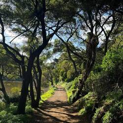 Tower Hill Wildlife Reserve