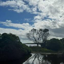 Tower Hill Wildlife Reserve