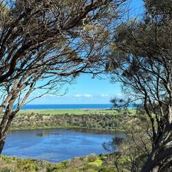 Tower Hill Wildlife Reserve