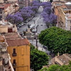 Old city in Cagliari