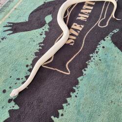 .....meine erste Schlange....😉