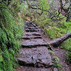 Wanderweg