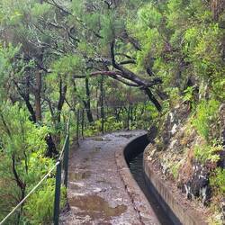 Wanderweg