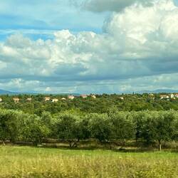 Loooving the olive oils over here and the olives of course!