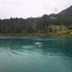 Urisee