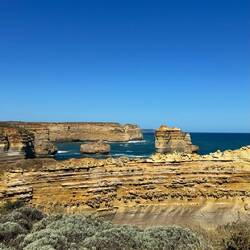 The Razorback Lookout