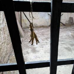 Hoffentlich bleiben die alten Geister dahinter 😬