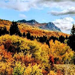 Wow. Schöner haben wir den Indian Summer in den USA auch nicht erlebt👍